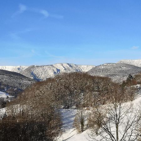 Вилла Les Effraies Hohrod Экстерьер фото