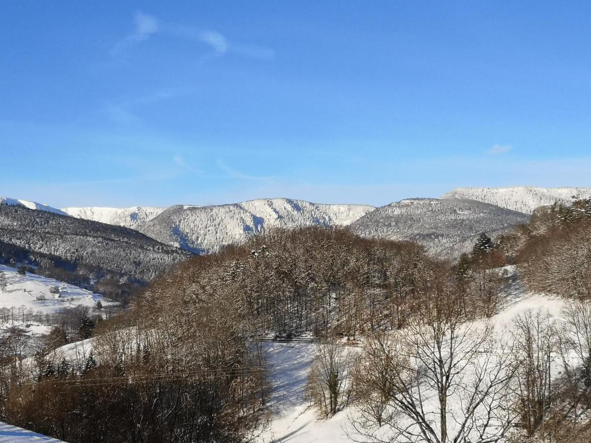 Вилла Les Effraies Hohrod Экстерьер фото